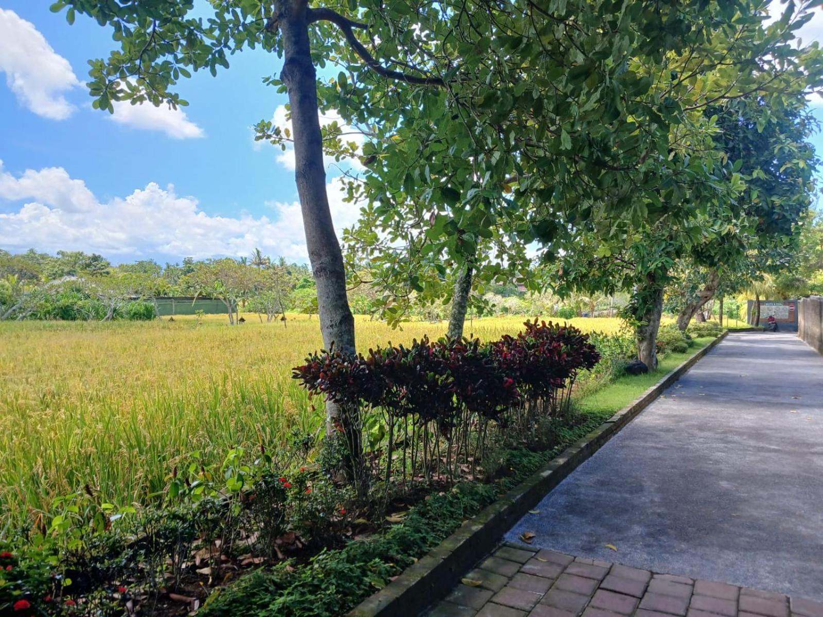 Kartika Dahayu Private Pool Villas Sukawati  Ngoại thất bức ảnh